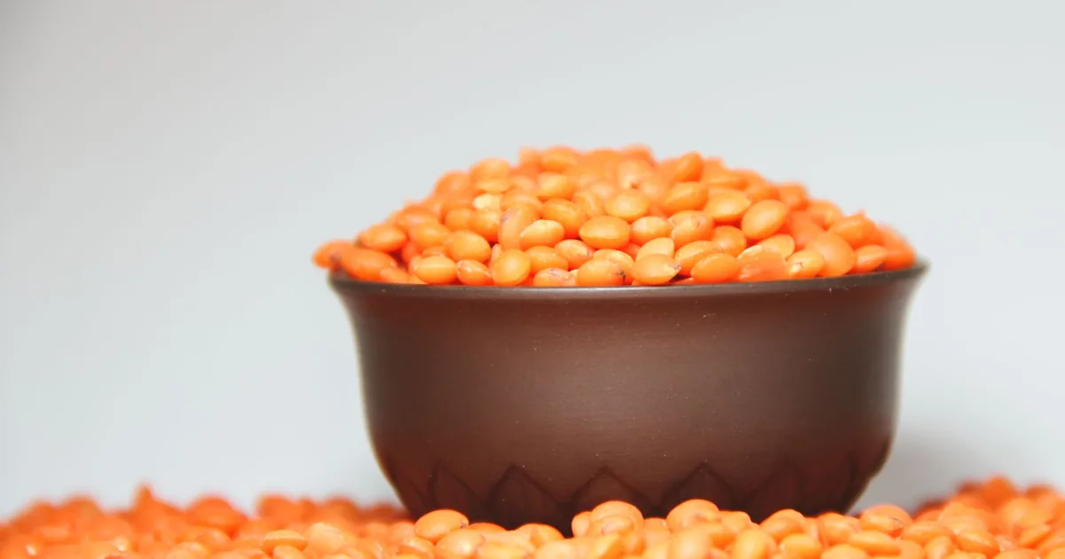 A focused image of a bowl filled with vibrant red lentils against a plain background.