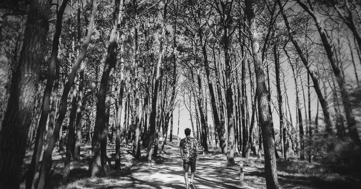 A person walking along a serene forest path surrounded by tall trees in black and white.